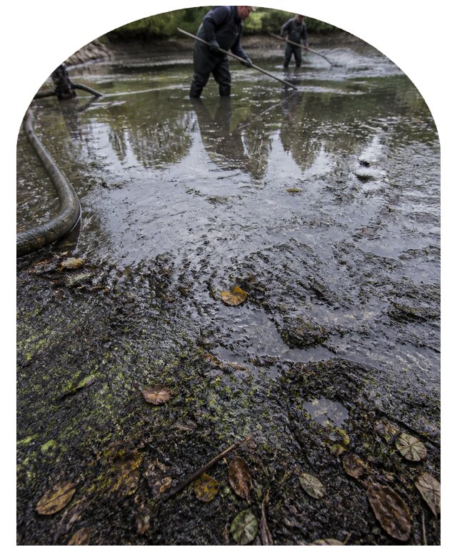 Очистка пруда в Борзе от ила мусора и водорослей с вывозом